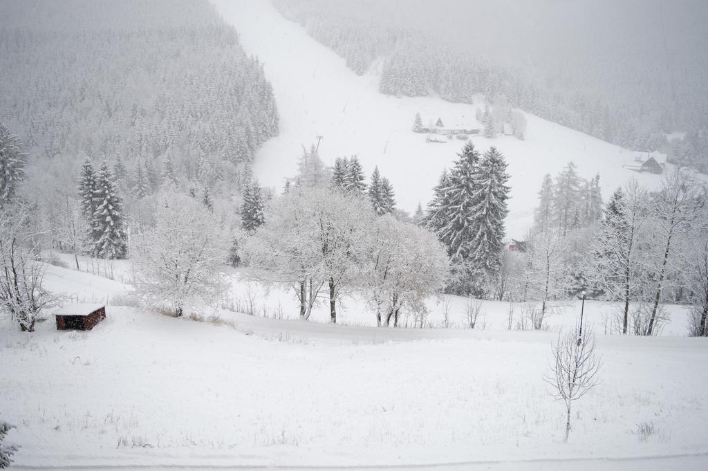 Hotel Adam Špindlerŭv Mlýn Dış mekan fotoğraf