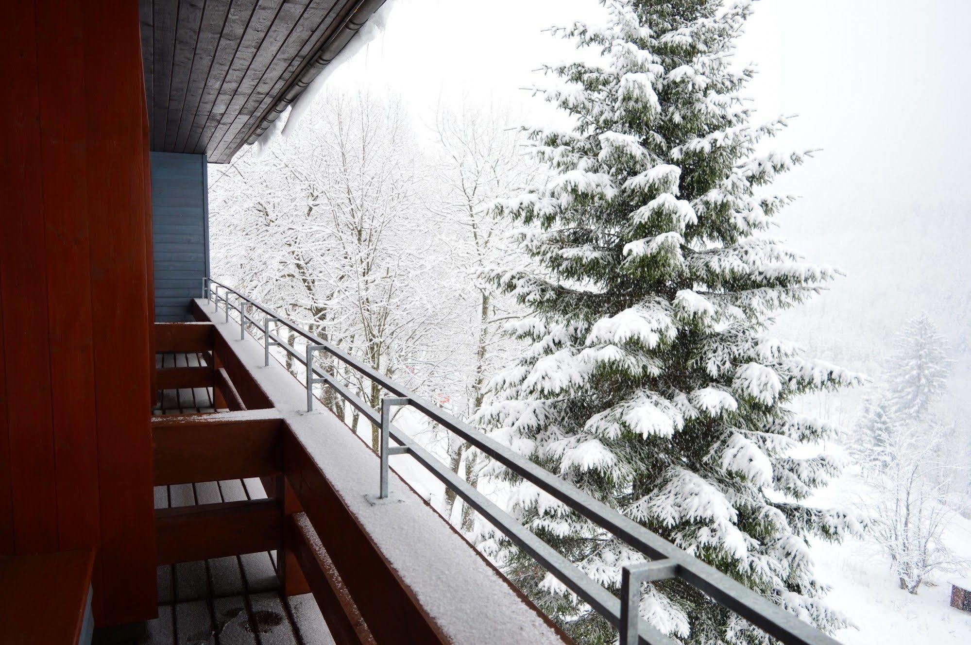 Hotel Adam Špindlerŭv Mlýn Dış mekan fotoğraf